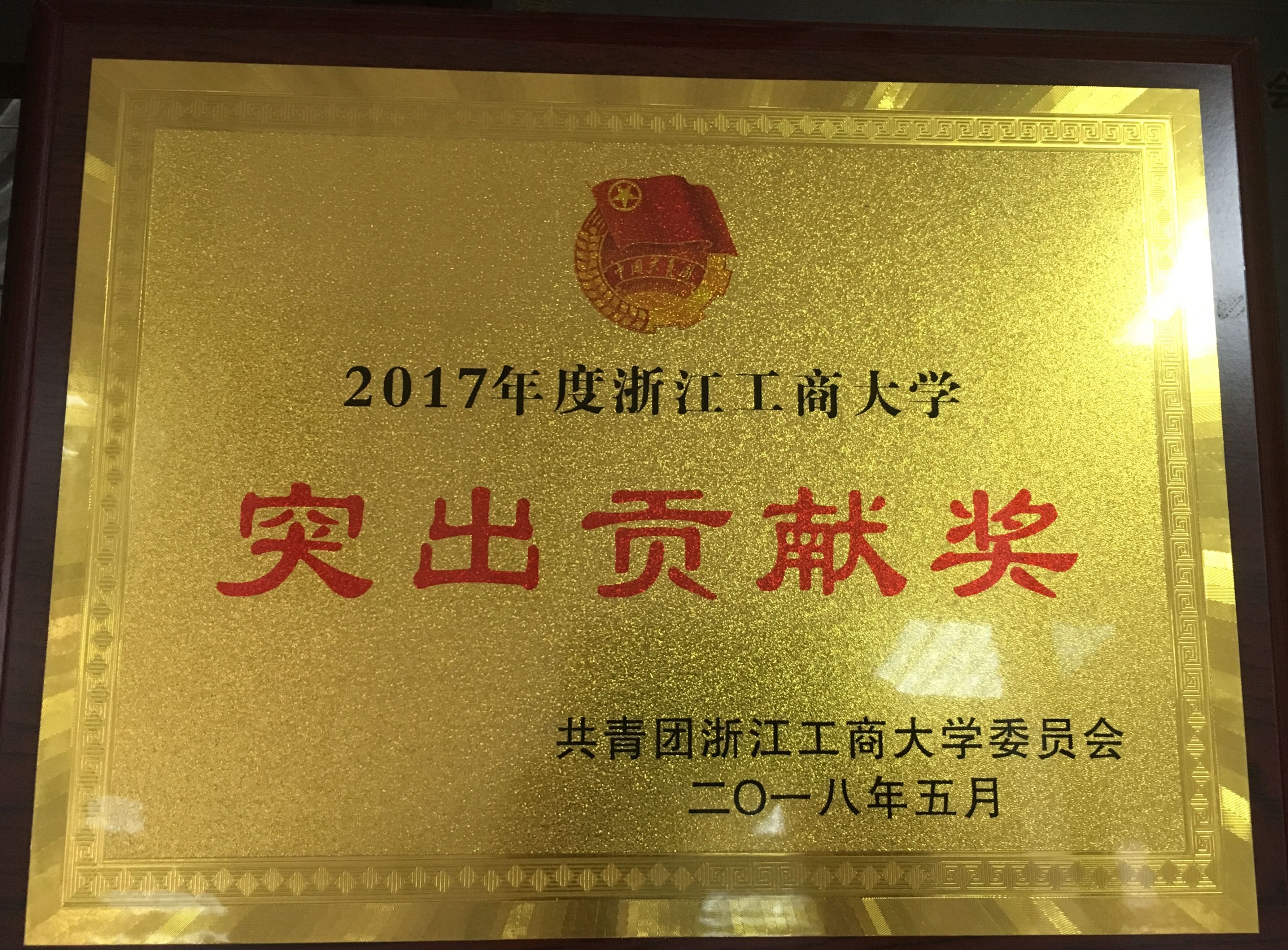 2017年突出贡献奖.jpg 2017年突出贡献奖.jpg